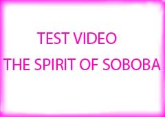 SPIRIT